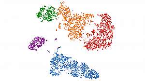 Clustering Model