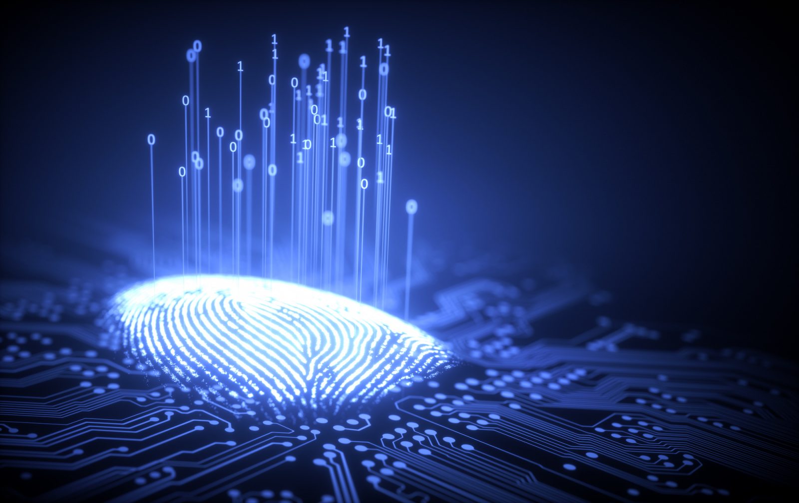 Background image: Data Fingerprint